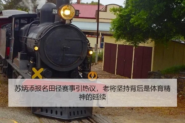 苏炳添报名田径赛事引热议，老将坚持背后是体育精神的延续